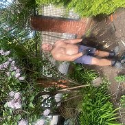 , 41 , 