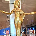 ���� ��������, ������, 66 ��� - ��������� 8 ��� 2026