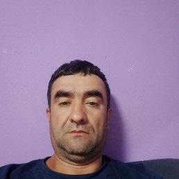 , 44, 