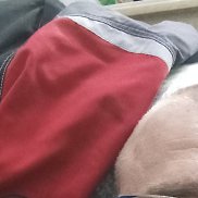 �����, 42 ����, �������