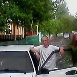 ������, 44 ����, ���������