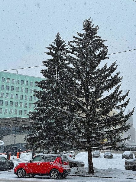 Снежный Красноярск… кто скучал? Сегодня было очень красиво в городе, но уже сейчас дороги в городе ... - 5