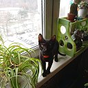 ���� �������, ������, 55 ��� - ��������� 7 ����� 2025 � ������ ������� ���