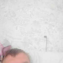 , 33, 