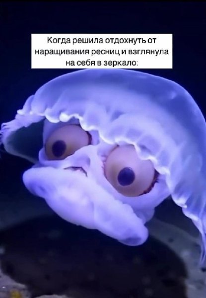    - 2