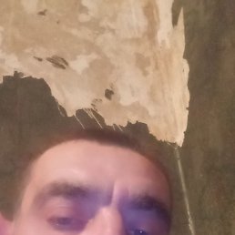 , 41, 