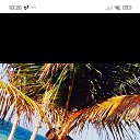 ���� ������, �����-���������, 48 ��� - ��������� 25 ��� 2026