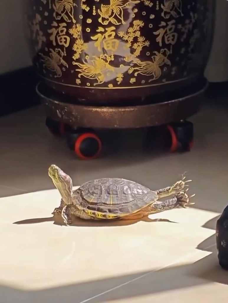  -      ,   .    , ... - 9