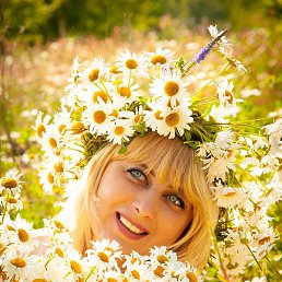 �����, �����-���������, 46 ���