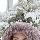 ���� �*�*�, ������� - ��������� 24 ������ 2026 � ������ ���� ����������