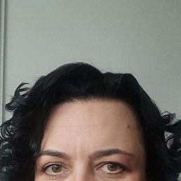 ���� �����, �����-���������, 51 ��� - ��������� 8 ������ 2025