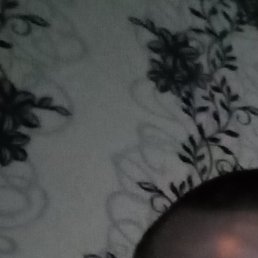 , , 29 