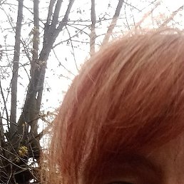 ��������, ������, 52 ����