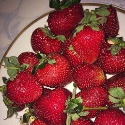 ���� Ibragim, �����, 27 ��� - ��������� 7 ������ 2024