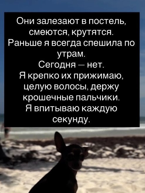       ,   - 3