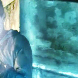 �����, �����-���������, 46 ���