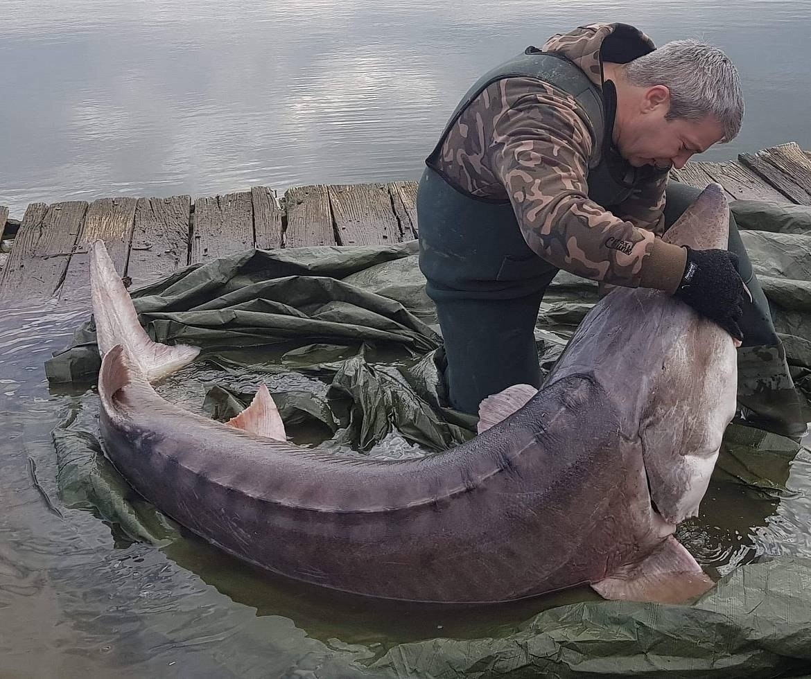 : 1500       !      . 1,5    ... - 3