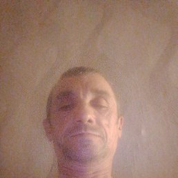 ������, 48 ���, �����