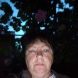 , 61, 
