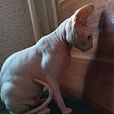 ���� �����, ������, 35 ��� - ��������� 16 ���� 2026 � ������ ���� ����������