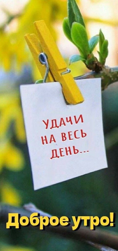   ,    . - 19  2025  23:21