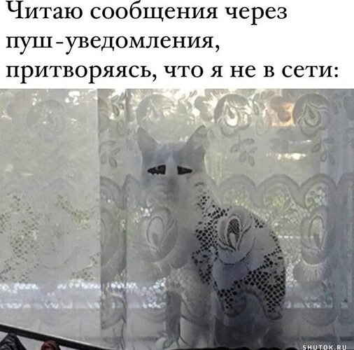   ! - 29  2024  20:16