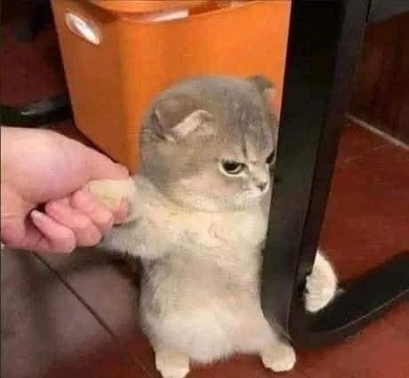   - 4