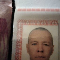 , 46, 