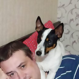 , 41, 