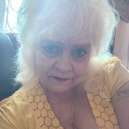 ���� �������, ������������, 66 ��� - ��������� 17 ������� 2026