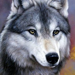 �����, ������, 22 ����