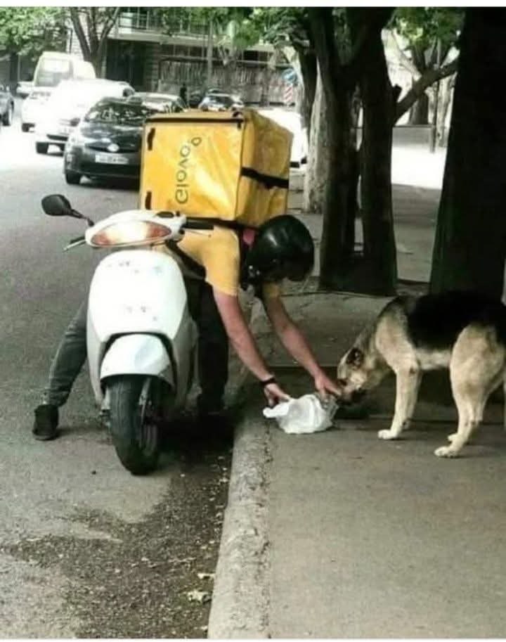    ,  ,     .  !    ...