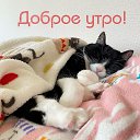 ���� �������, ������, 25 ��� - ��������� 22 ������ 2024 � ������ ���� ����������