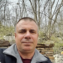 , 51, 
