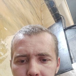 , 39, 