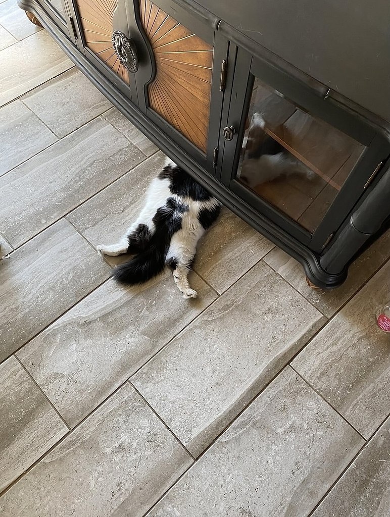  -      ,   .    , ... - 6