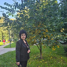 ���� �������, ������, 54 ���� - ��������� 27 ������ 2026