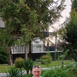 ���� �vg�ny, �������, 53 ���� - ��������� 27 ������� 2023