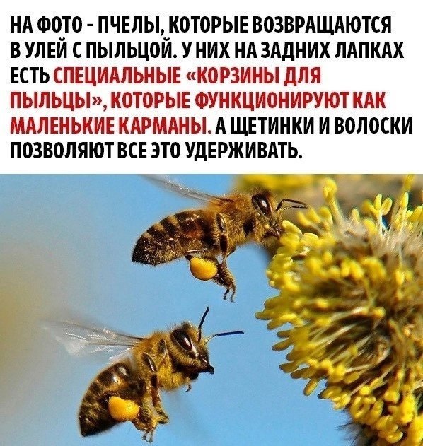  )  - 2