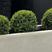 Sasha, 18 ���, ������