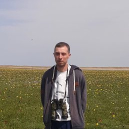 , 28, 