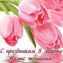 ���� �������, ������, 43 ���� - ��������� 7 ����� 2026 � ������ ������ ��������