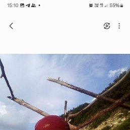 , 58 , 