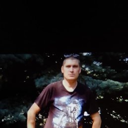 ������, 33 ����, ���������