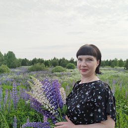 , 37, 