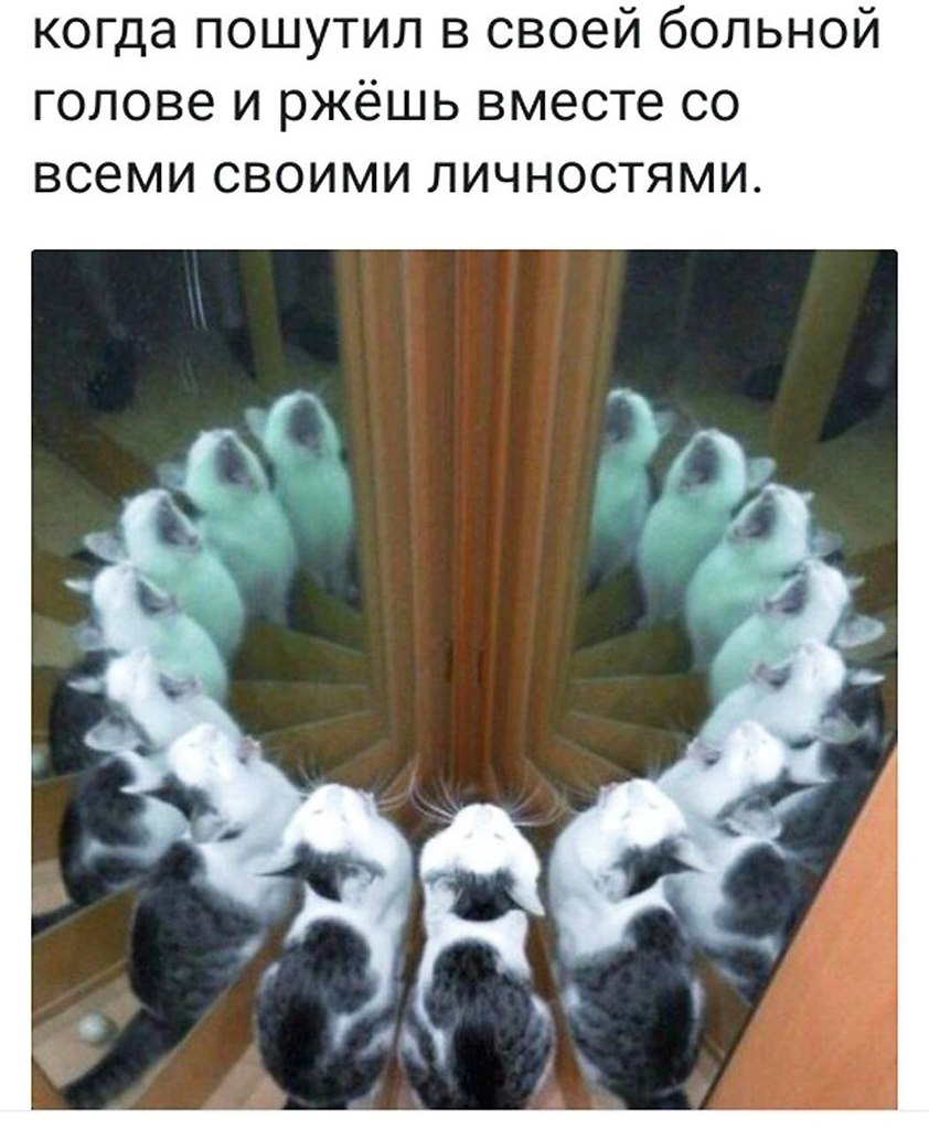 ��� ��� � ����� ��������� �����