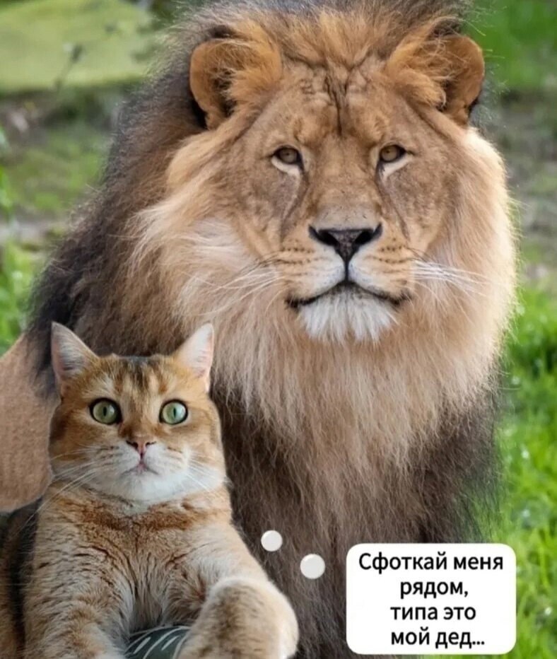   - 12  2025  17:56