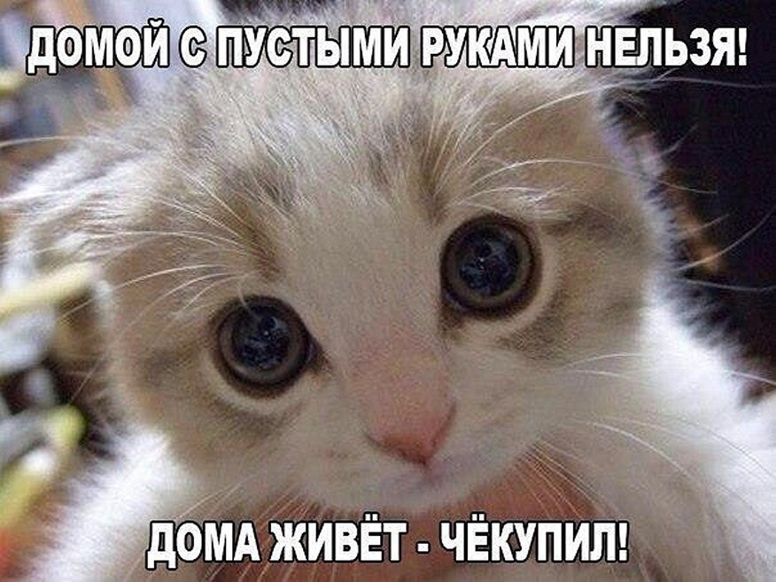 ? ,  ! - 19  2025  22:37