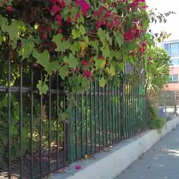 �����, ������, 33 ����