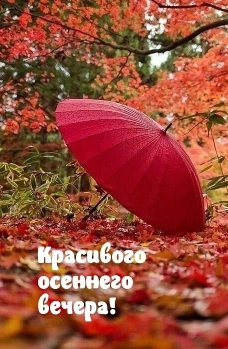   ,    . - 15  2024  20:56 - 2